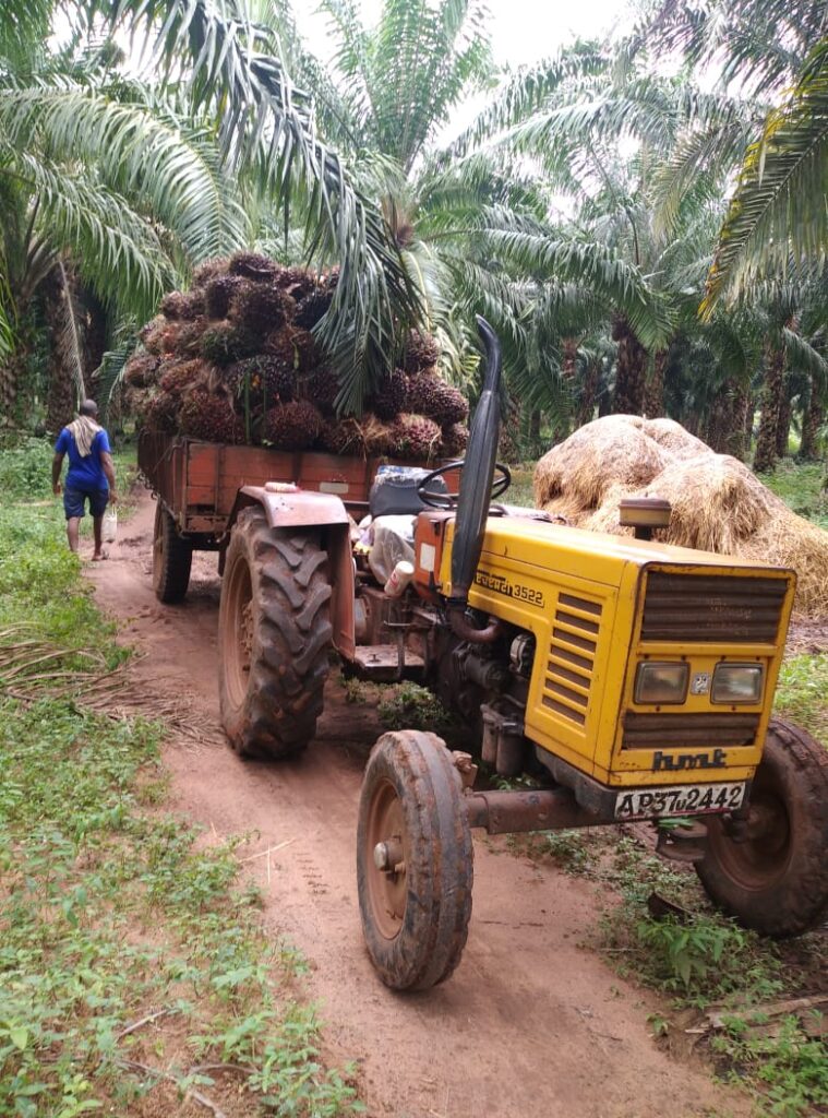 ​3F Oil Palm company introduces more transport incentives to oil palm farmers