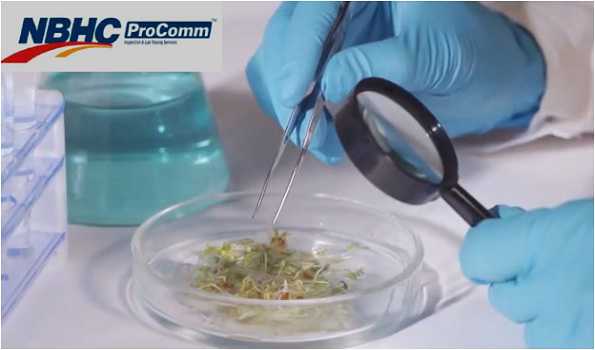 NBHC ProComm Laboratory secures Integrated NABL Accreditation
