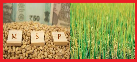 MSP Operations during Kharif Marketing Season 2020-21 About 87.20 Lakh Paddy Farmers have benefitted from KMS Procurement Operations with MSP value of Rs. 1,12,983.55 Crore