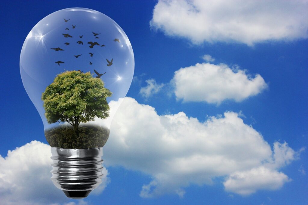 AB INBEV INDIA REINFORCES ITS COMMITMENT TO RENEWABLE ELECTRICITY