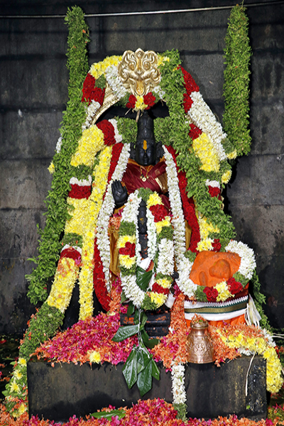 SEER TAKES PART IN ANJANADRI FETE
