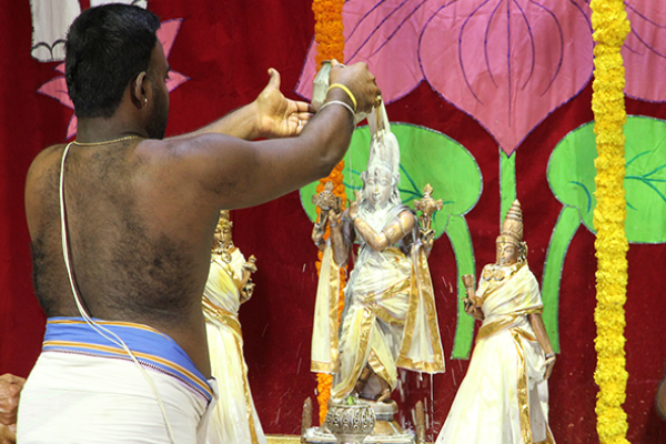 Theppotsavalu begins at the temple of Sri Padmavati Ammavari in Thiruchanur