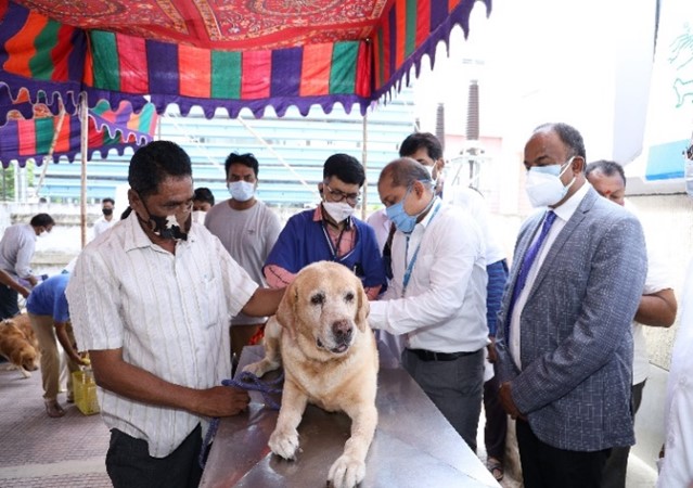 Indian Immunologicals administers 1 Lac FREE dosages of Anti-rabies vaccine on  World Zoonosis Day 2021