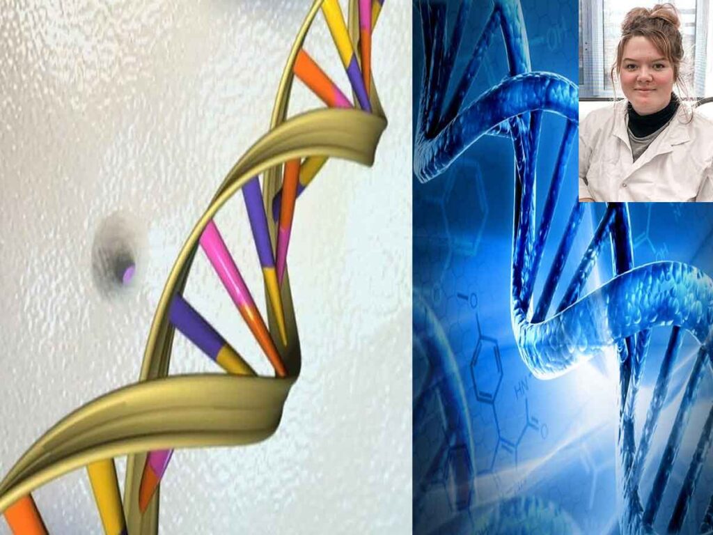 Male hormones accelerate DNA aging