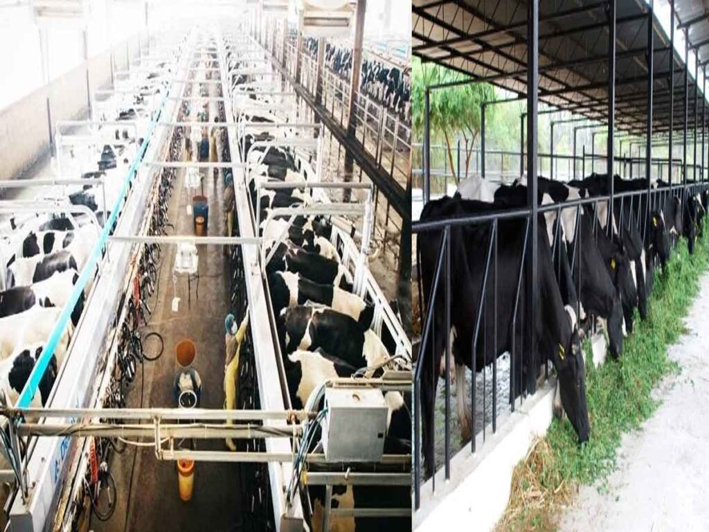 Action Plan to Promote Dairy Industry 