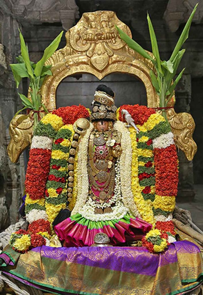 Sattumora of Sri Andal Ammavari in the temple of Sri Govindarajaswamy