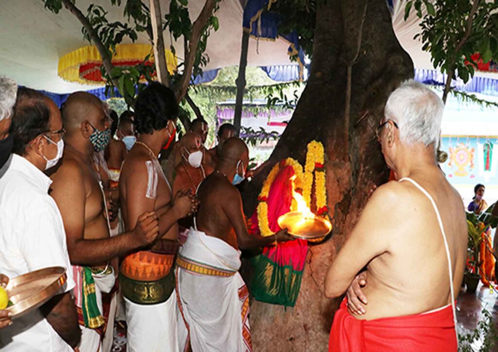 PURUSHAIVARI THOTA UTSAVA HELD IN TIRUMALA