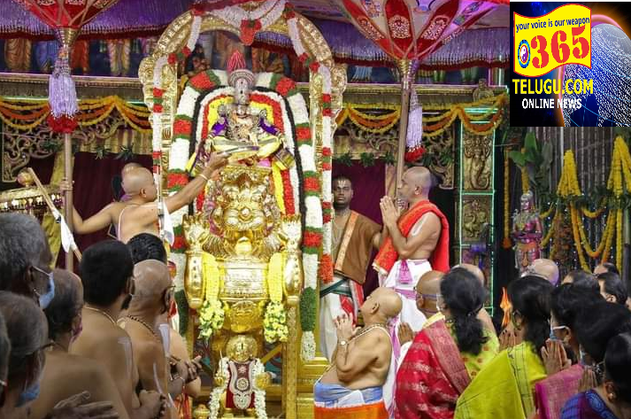 Sri Malayappa Swamy was seated on Simha Vahanam 