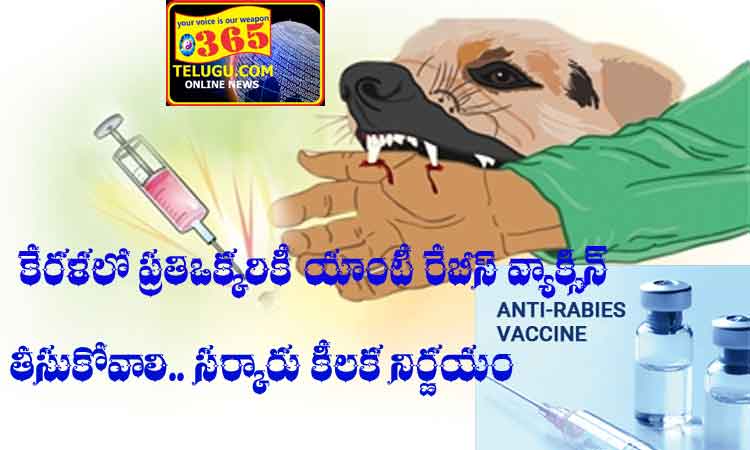 Anti-rabies vaccine should be taken for everyone in Kerala.. Government's key decision