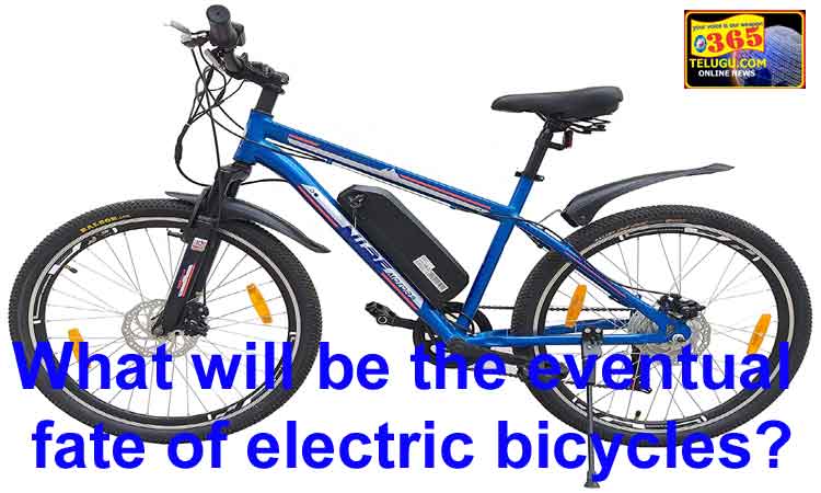 What will be the eventual fate of electric bicycles?