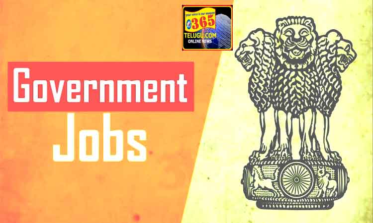 jobs-governent