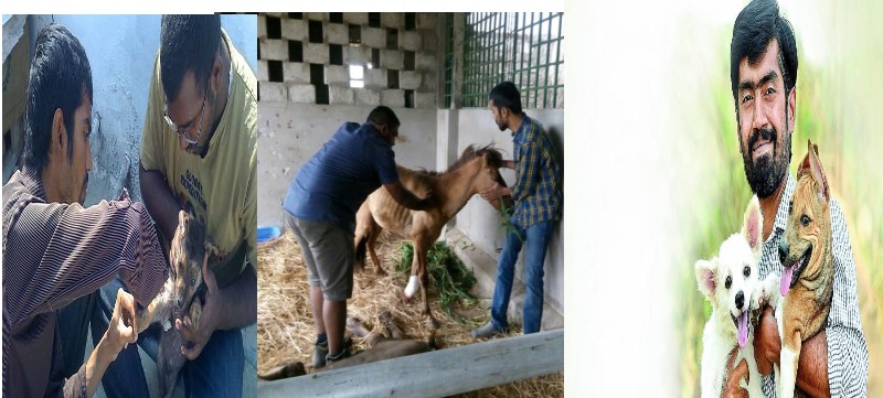 Hyderabad man rescues more than 70000 injured animals