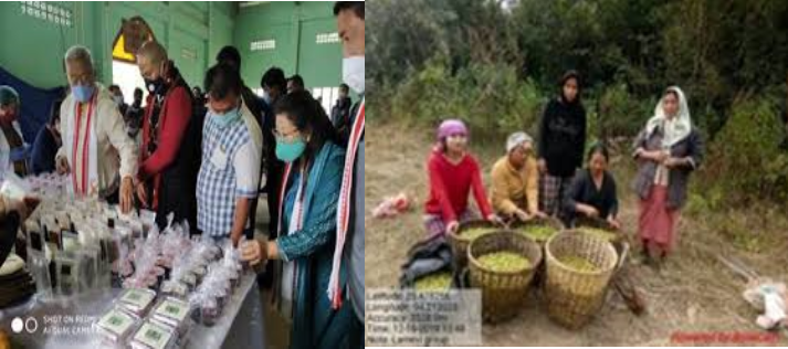 TRIFED under M/O Tribal Affairs initiates Marketing & Logistics intervention for promoting products of North – East