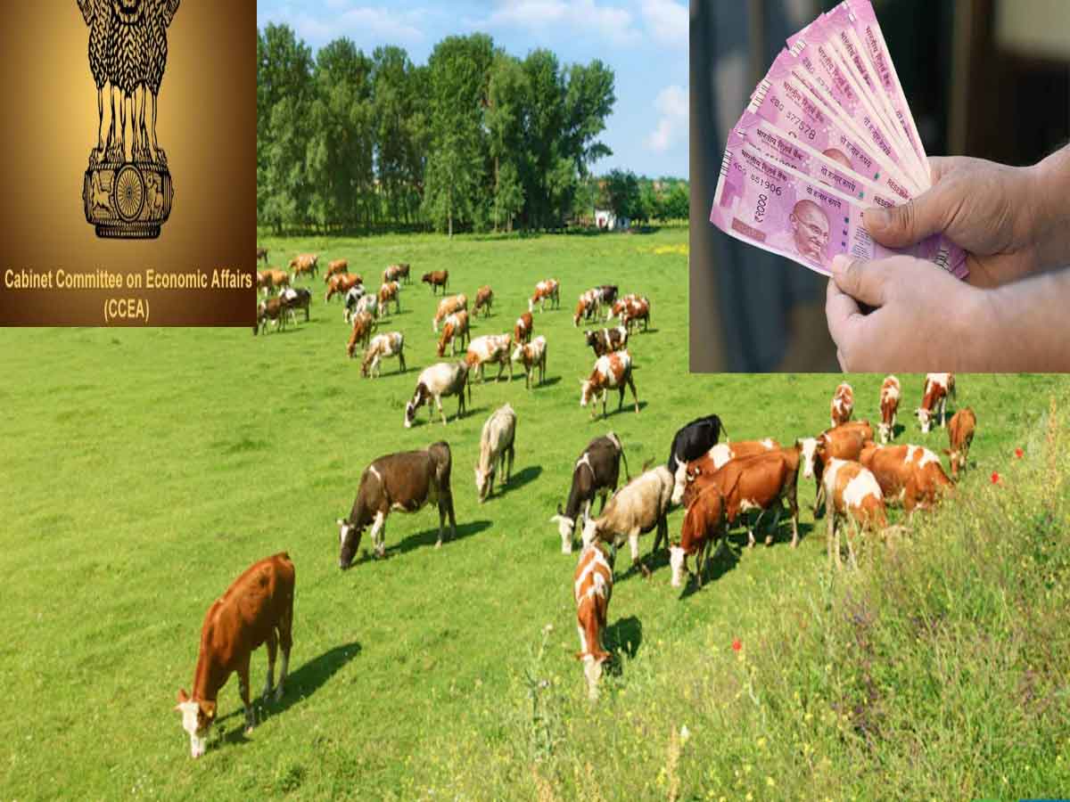 Cabinet approves Revising and Realigning various components of Department of AnimalHusbandry & Dairying Schemes and Special livestock package for leveraging investment of Rs.54,618 crore