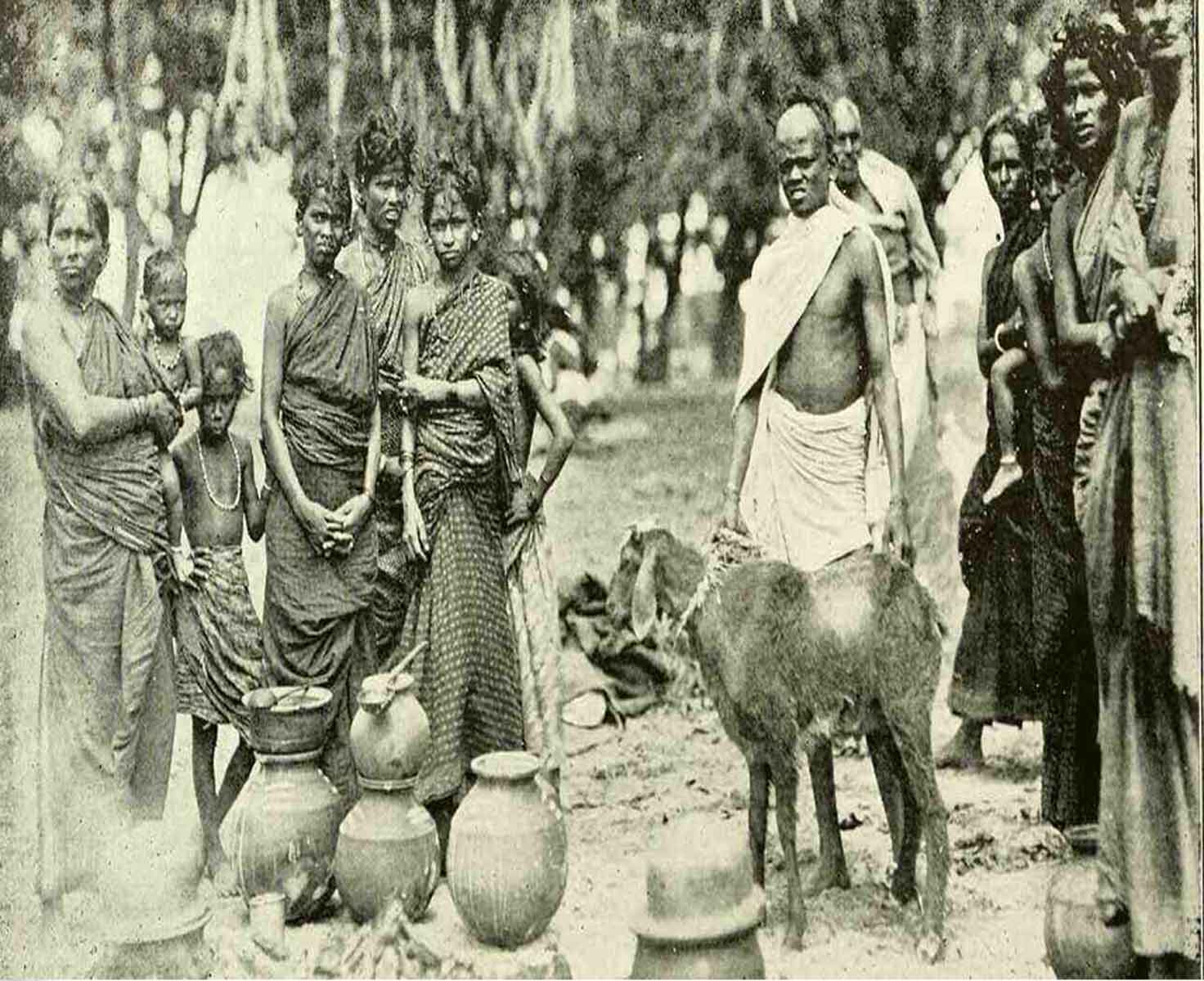 Development of Nomadic Tribes and Denotified Tribes