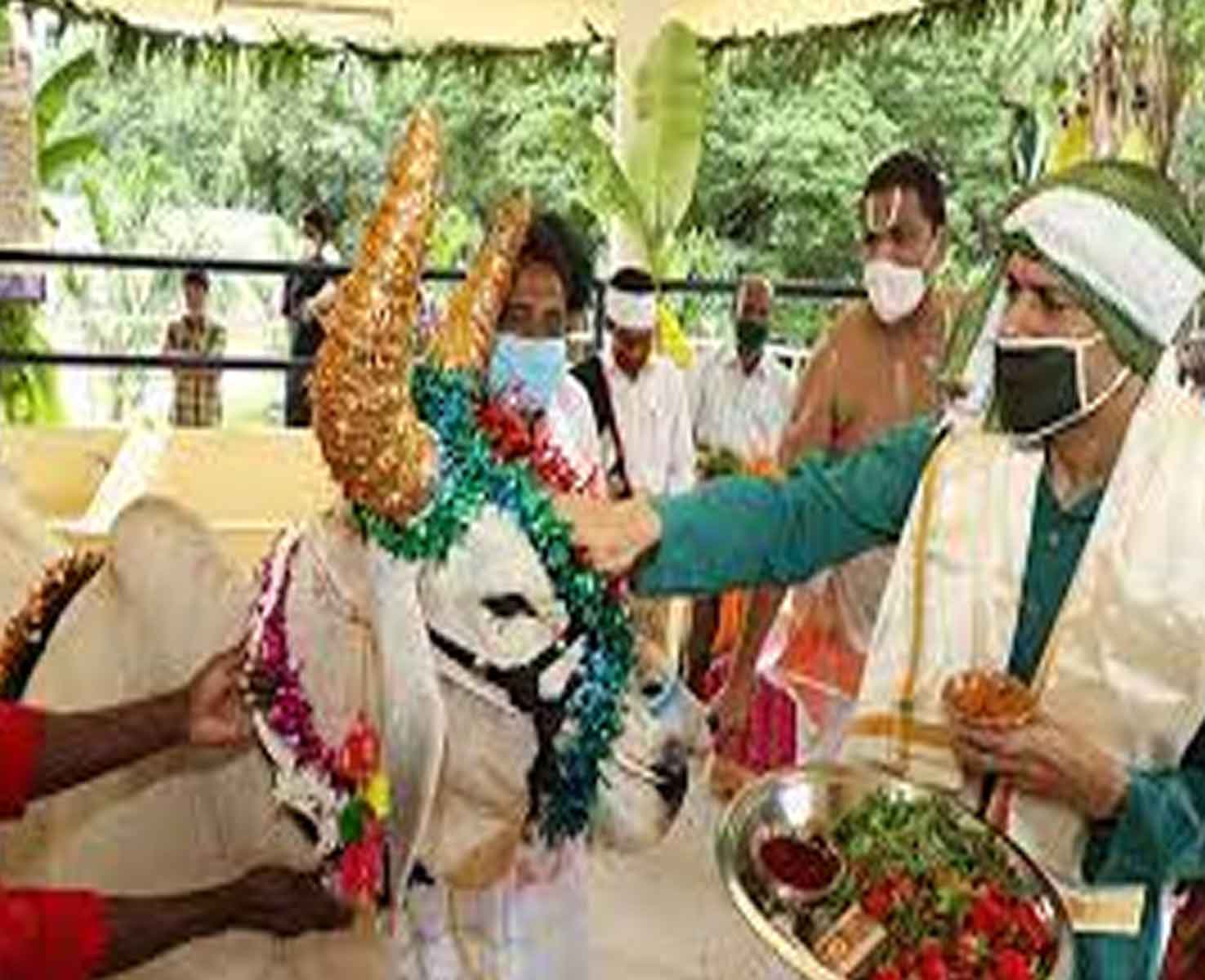 Gopuja on August 30 in SV Goshas as per covid rules