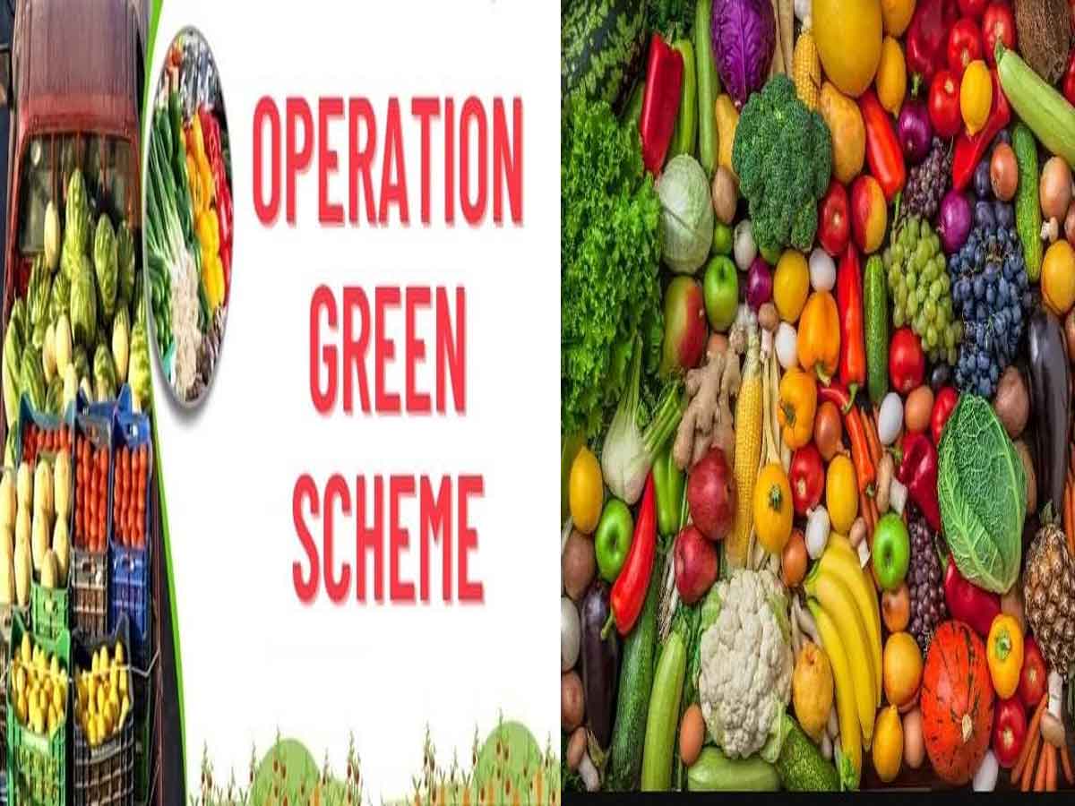 Operation Greens Scheme