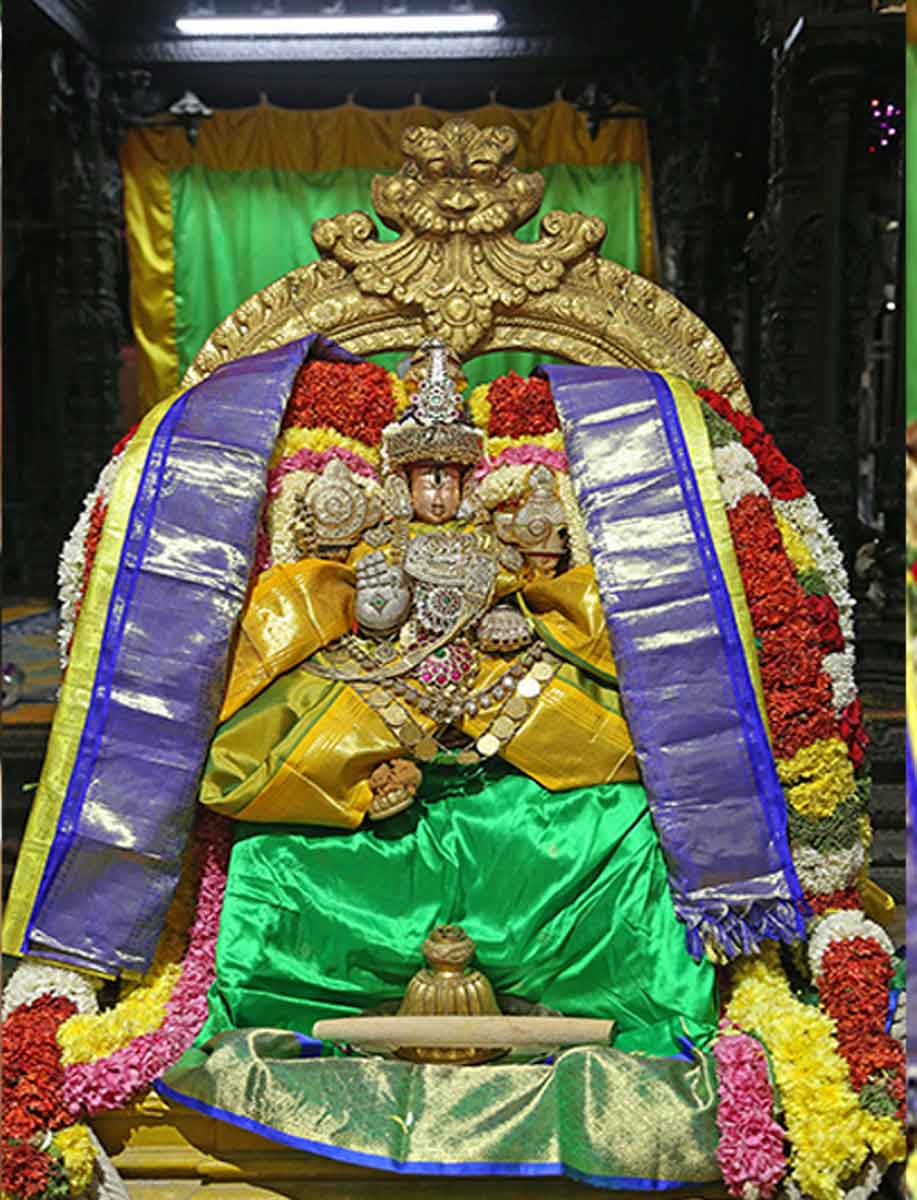 Sattumora of Sri Andal Ammavari in the temple of Sri Govindarajaswamy