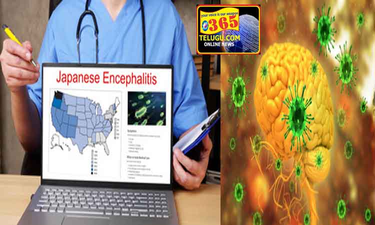 japanese-encephalitis