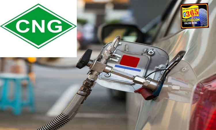 CNG-PNG prices